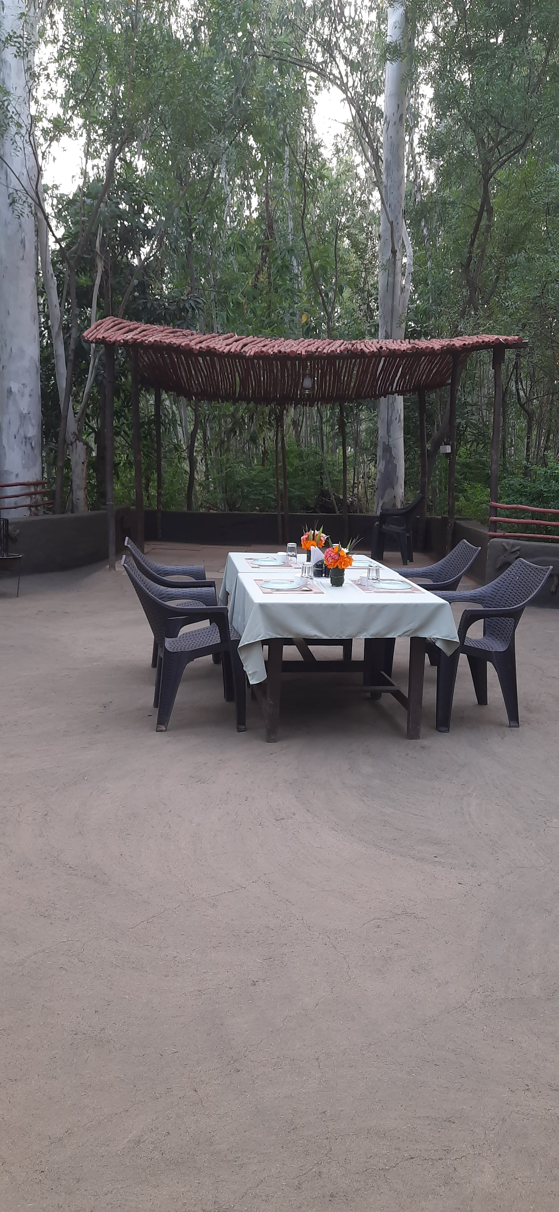 Sanjay Resort Tiger Safari Experience - 2