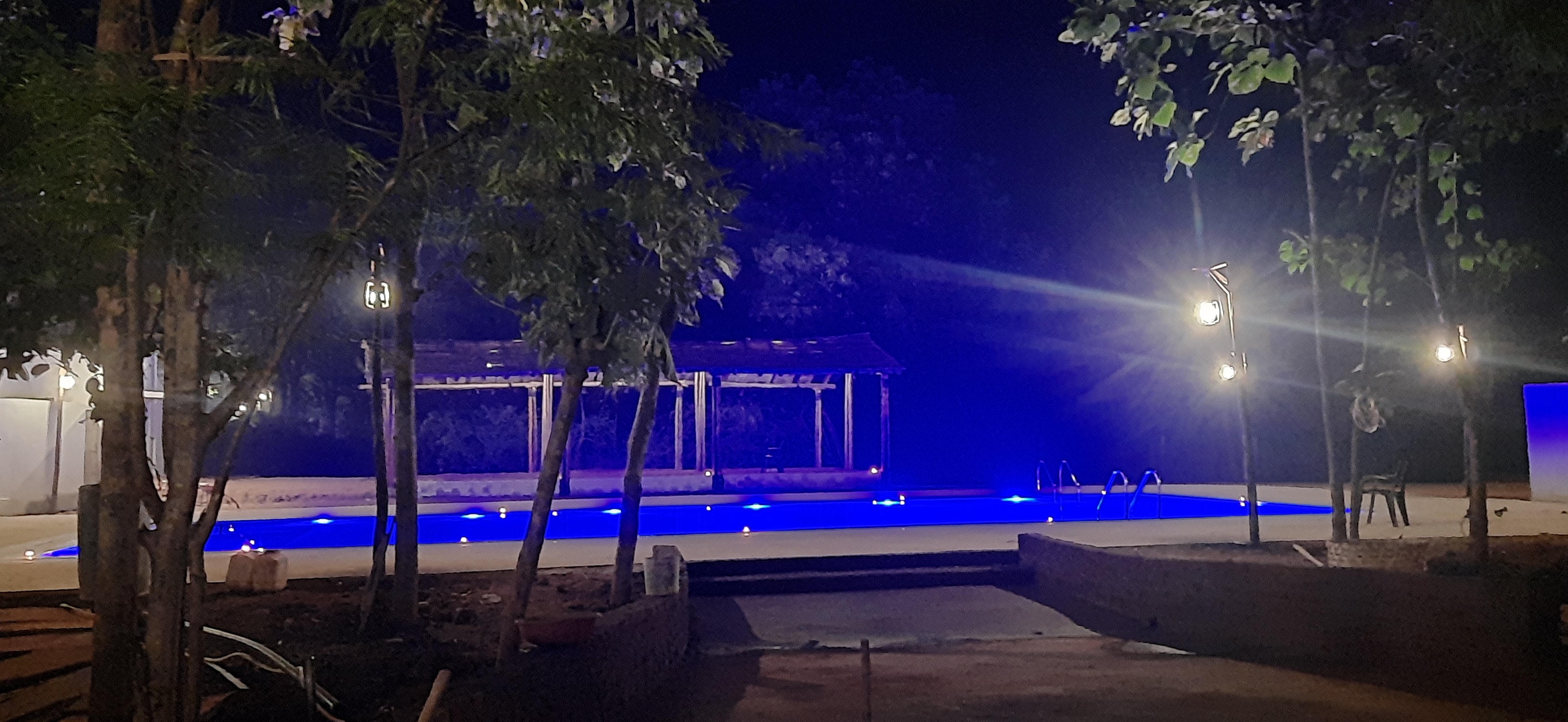 Sanjay Resort Tiger Safari Experience - 3