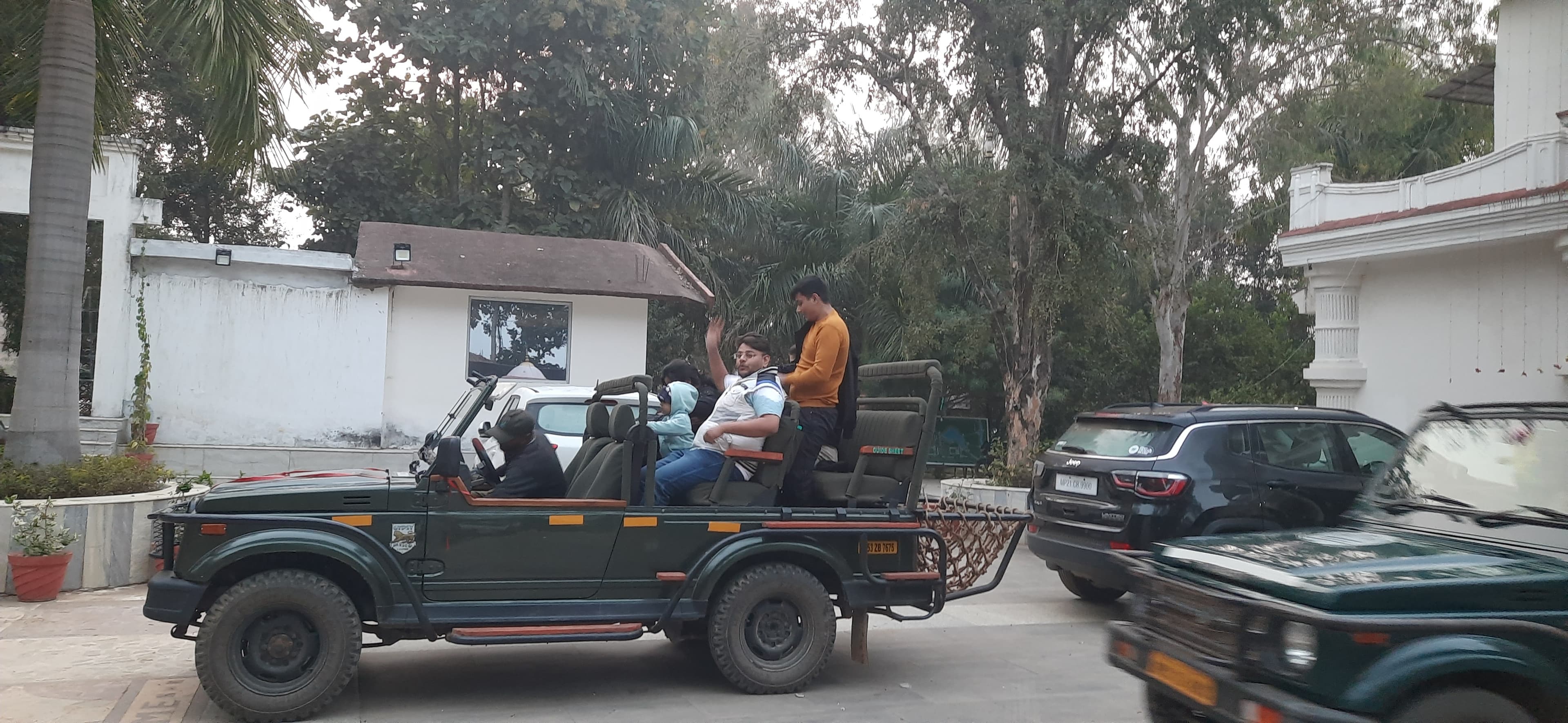 Tiger spotted during early morning safari