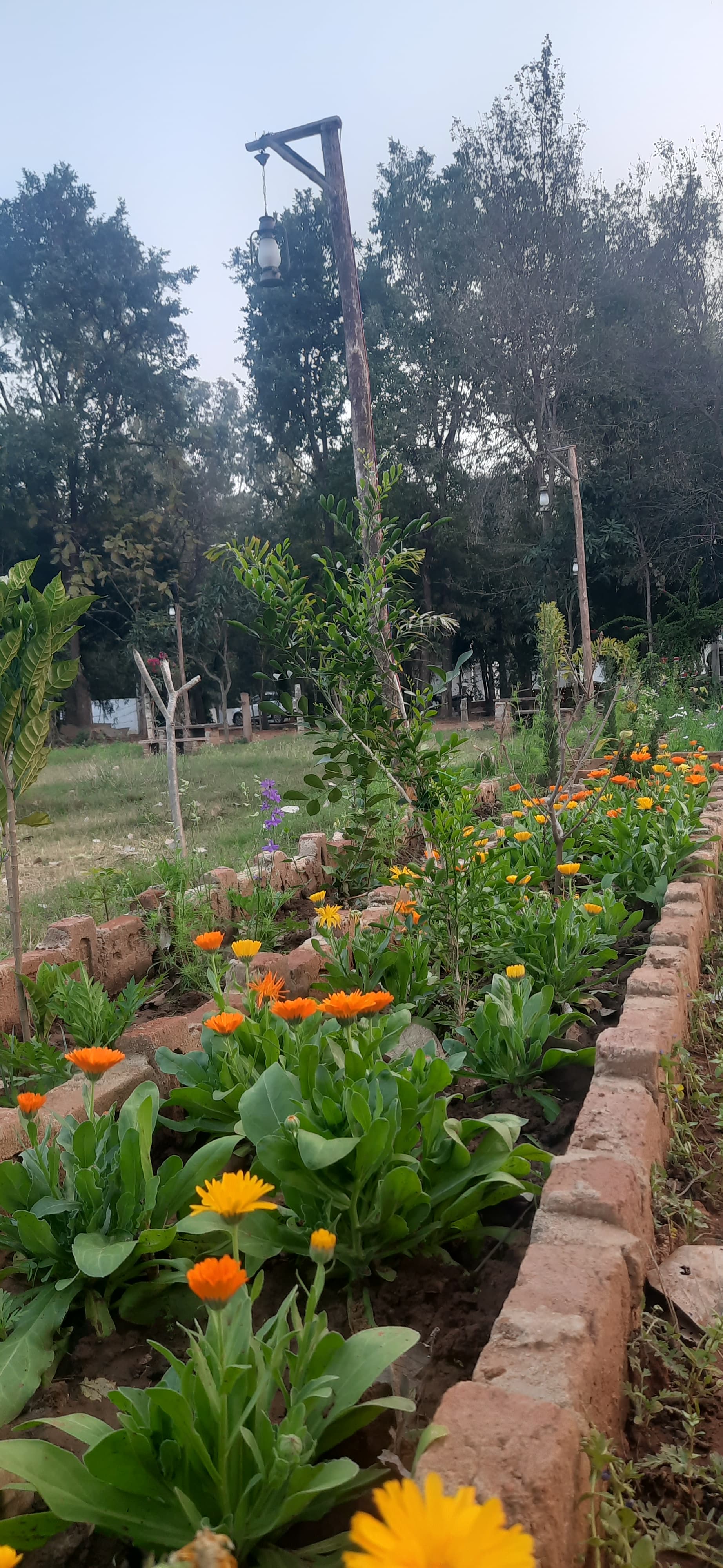 Natural landscape showing biodiversity of reserve