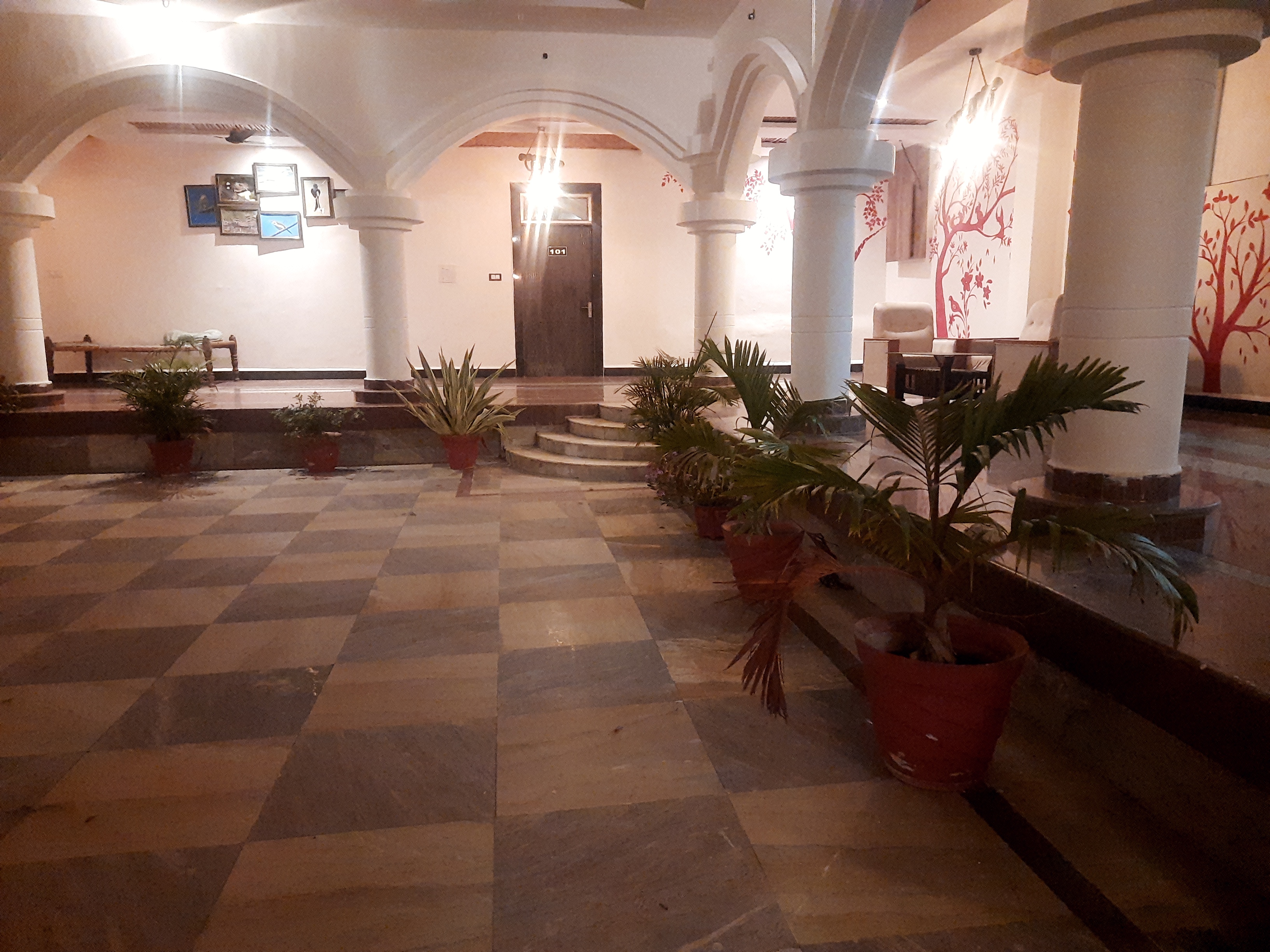 Wildlife captured in natural setting