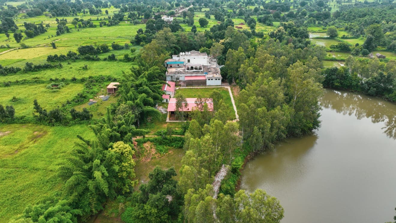 Exciting safari adventure moments