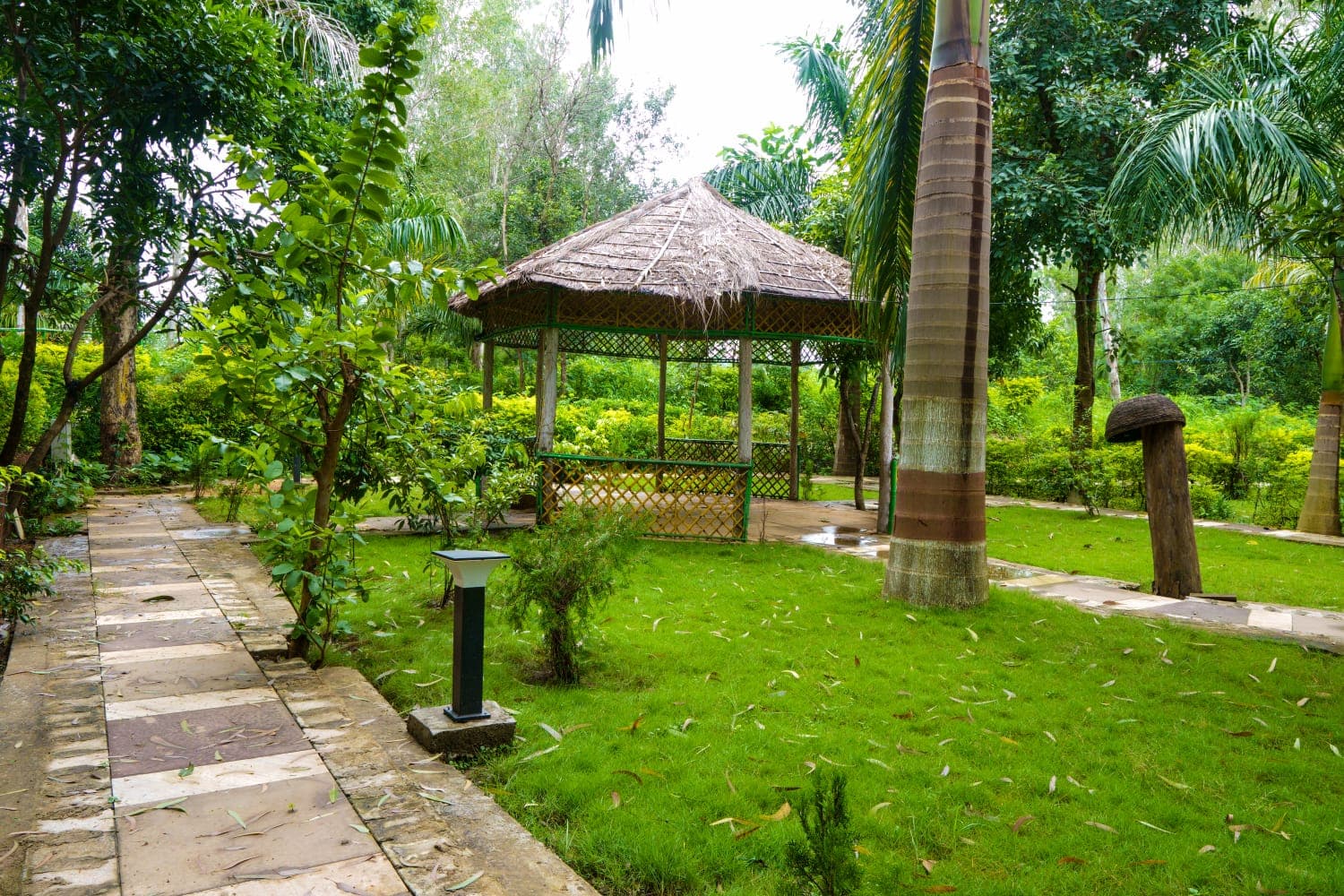 Beautiful natural scenery in tiger reserve