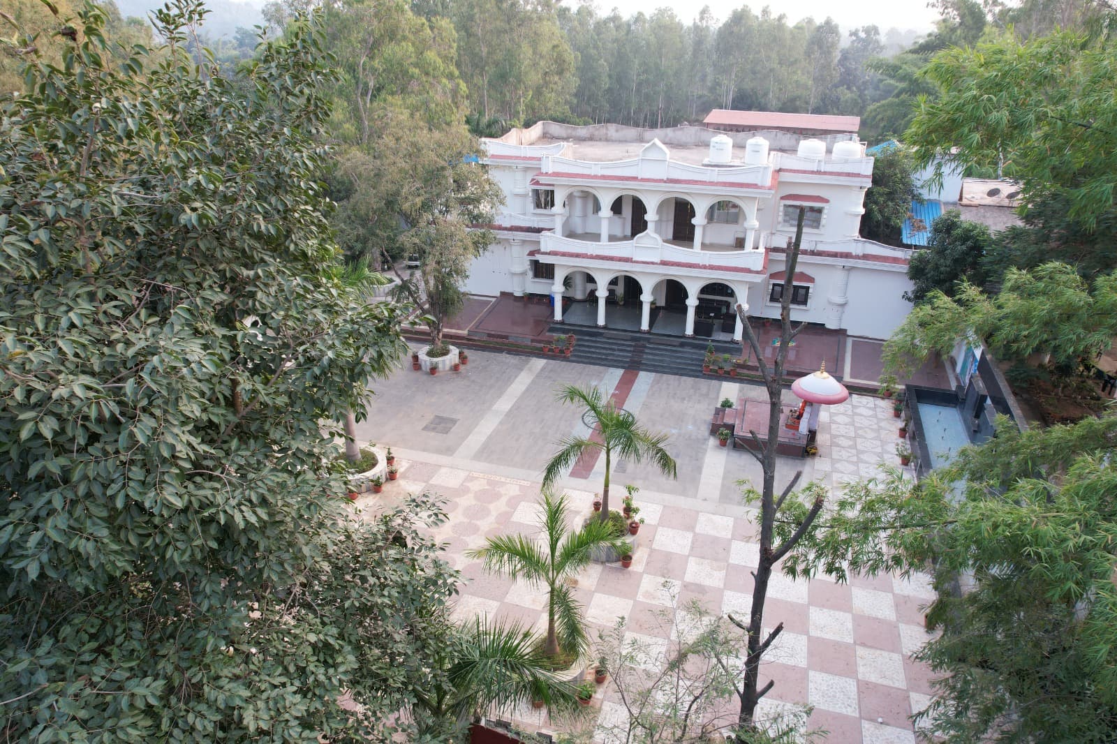 Tiger in its natural territory