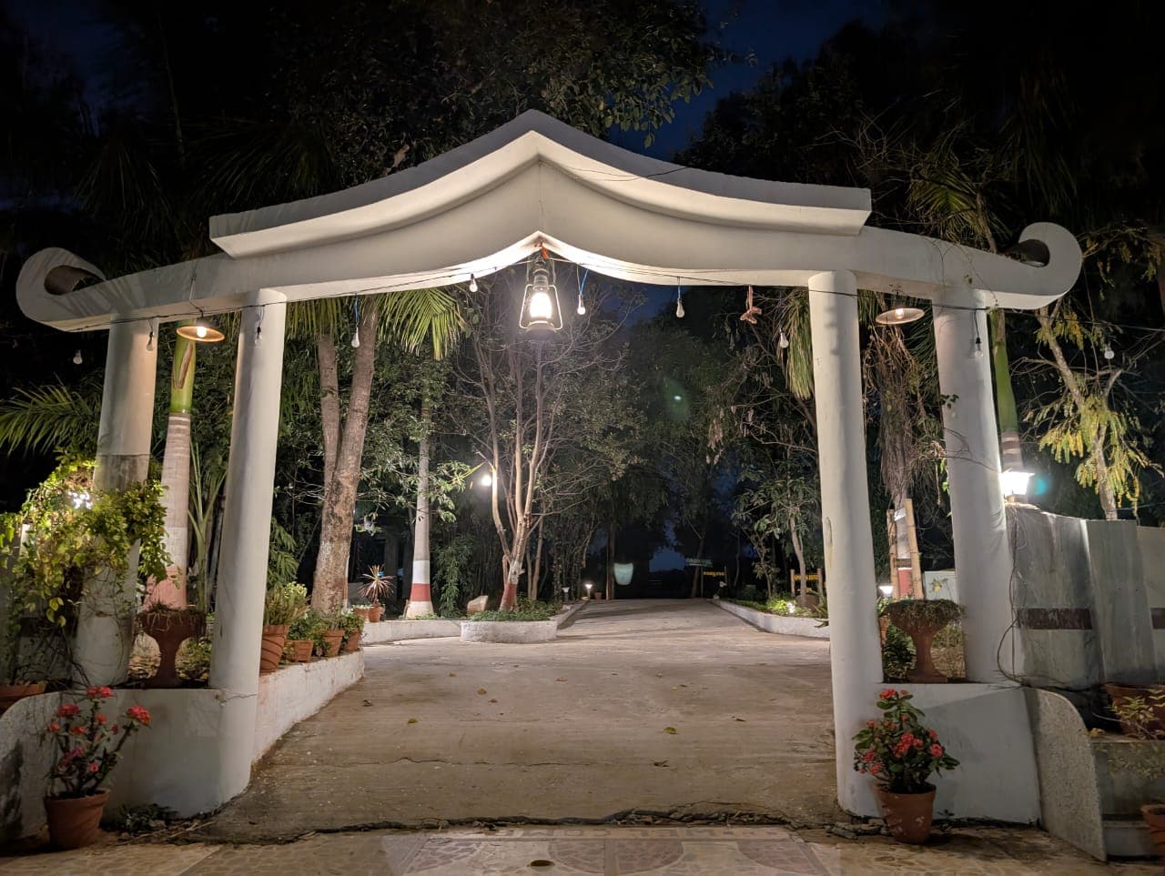 Beautiful forest paths in the reserve